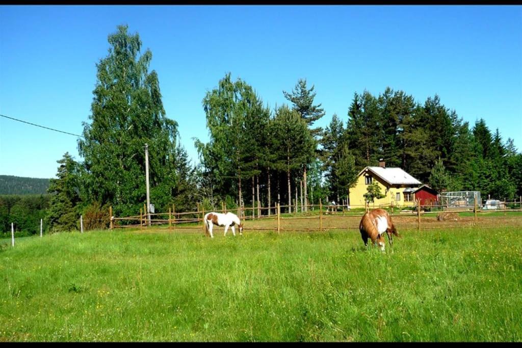 Little Forest House "Our Little Farm" Ekshärad Exterior foto